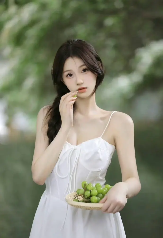 VSS技术原理示意图