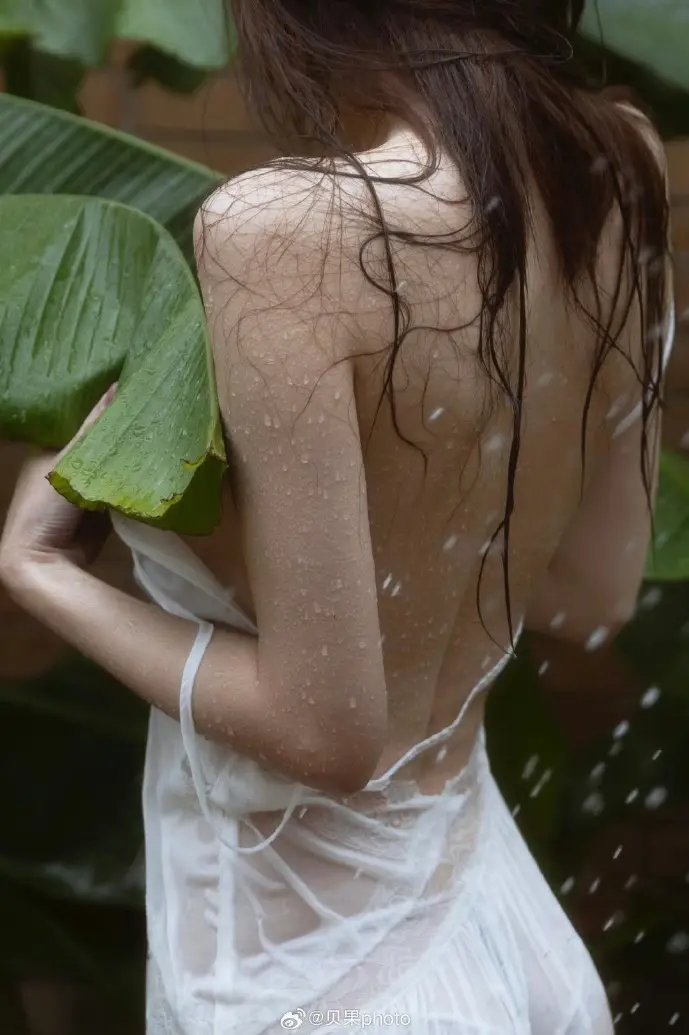 voun下载用户增长趋势图